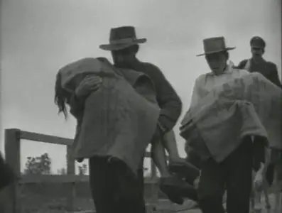 El chacal de Nahueltoro / Jackal of Nahueltoro (1969)