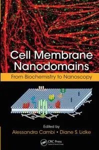 Cell Membrane Nanodomains From Biochemistry to Nanoscopy