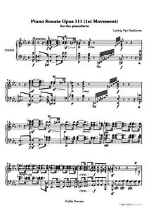 Sonata No. 32 (1st Movement)