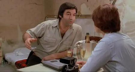 Mesrine (1984)