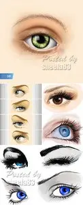 Various Eyes Vector