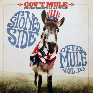 Gov't Mule - Stoned Side Of The Mule - Vol.1 & 2 (2015)