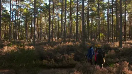 BBC - Countryfile Ramble for BBC Children in Need (2022)