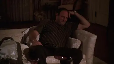 The Sopranos S01E11