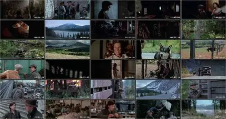 The Journey of Natty Gann (1985)