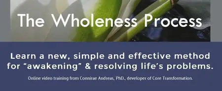 Connirae Andreas - The Wholeness Process