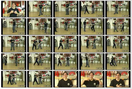 Bagua Concepts Volume 1: Ding Shi with Tom Bisio