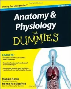 Anatomy and Physiology For Dummies, 2nd Edition (Repost)