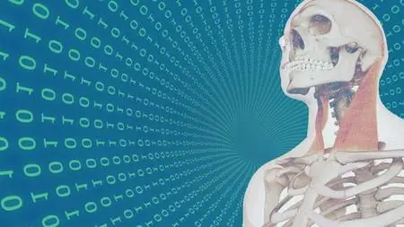 Mandibular Deprogramming - A Postural Approach