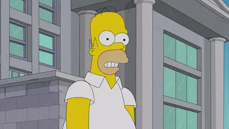 Die Simpsons S33E08