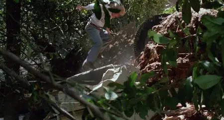 The Earthling (1980)