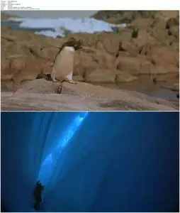 Antarctica (1991)