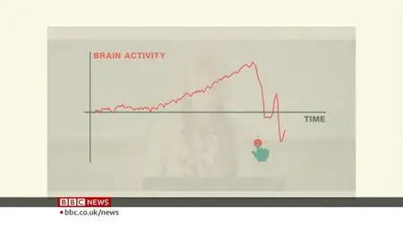 BBC - Free Will: Who Is Really in Charge of Our Minds? (2020)