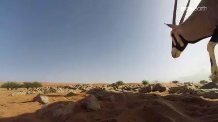 Planet Earth II S01E04 (2016)