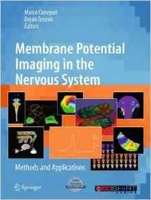 Membrane Potential Imaging in the Nervous System: Methods and Applications [Repost]