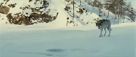 Loup (2009)