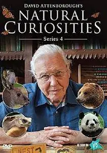 BBC - David Attenborough's Natural Curiosities: Series 4 (2018)