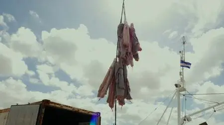 Sharkwater Extinction (2018)