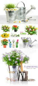 Spring time & flowers