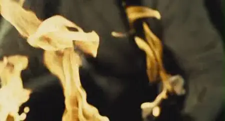 Pohwasogeuro aka 71: Into the Fire (2010)