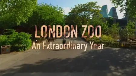 ITV - London Zoo: An Extraordinary Year (2021)