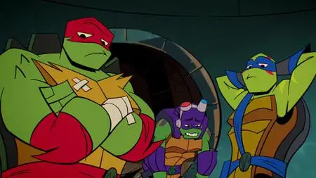 Rise of the Teenage Mutant Ninja Turtles S01E22