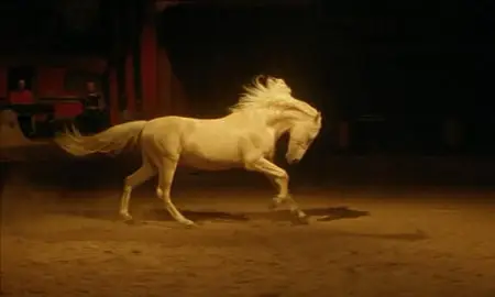 Cabaret Equestre - by Bartabas Zingaro (2004). Repost