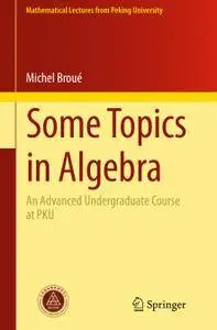 Some Topics in Algebra: An Advanced Undergraduate Course at PKU (Repost)