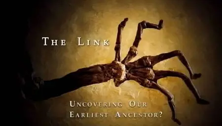 BBC - The Link - Uncovering Our Earliest Ancestor (2009)