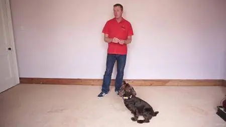 Dog Training for Humans - Clicker Free Trick Training