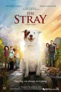 The Stray (2017)