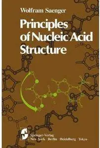 Principles of Nucleic Acid Structure