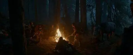 The Revenant (2015)