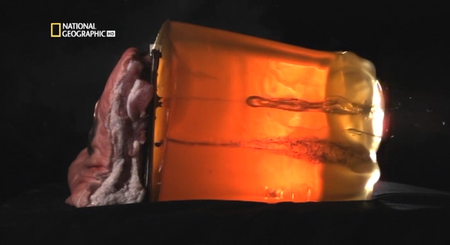 National Géographic : Dossier secrets (2009)
