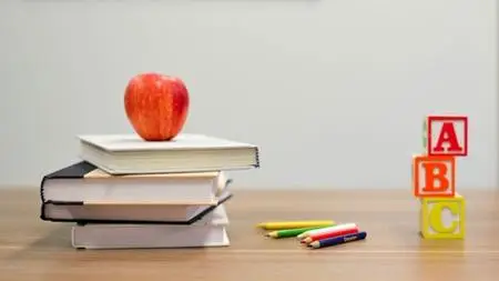 Beginner Vocabulary Words To Enhance Your English