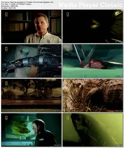 National geographic - Predator CSI: Zombie alligators (2007)