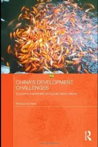 China's Development Challenges: Economic Vulnerability and Public Sector Reform