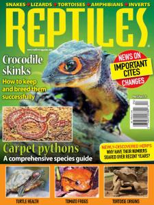 Reptiles - March-April 2020