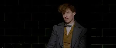 Fantastic Beasts: The Crimes of Grindelwald (2018)