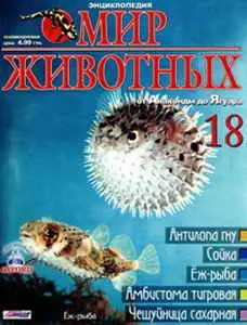 Мир животных №18 2008