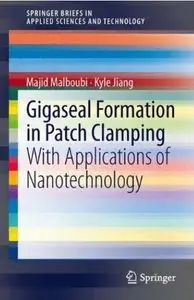 Gigaseal Formation in Patch Clamping: With Applications of Nanotechnology [Repost]
