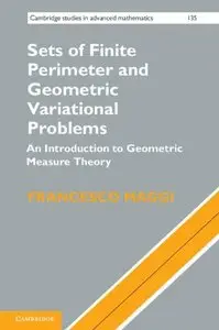 Sets of Finite Perimeter and Geometric Variational Problems: An Introduction to Geometric Measure Theory (repost)