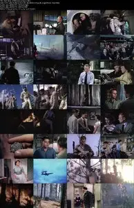 Red Skies of Montana (1952) 