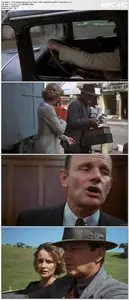 The Postman Always Rings Twice (1981)