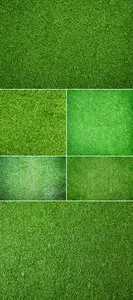 Stock Photo - Green Grass Textures