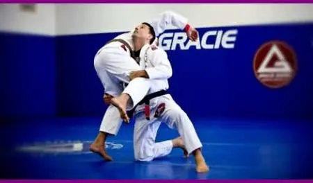 The Most Important Techniques of Brazilian Jiu Jitsu (2014-12)