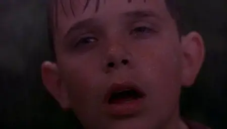The Man without a Face (1993)