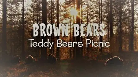 Doclights - Brown Bears: Teddy Bears Picnic (2020)