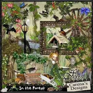 Scraps - In the Forest