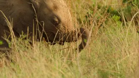 Wild Babies S01E04